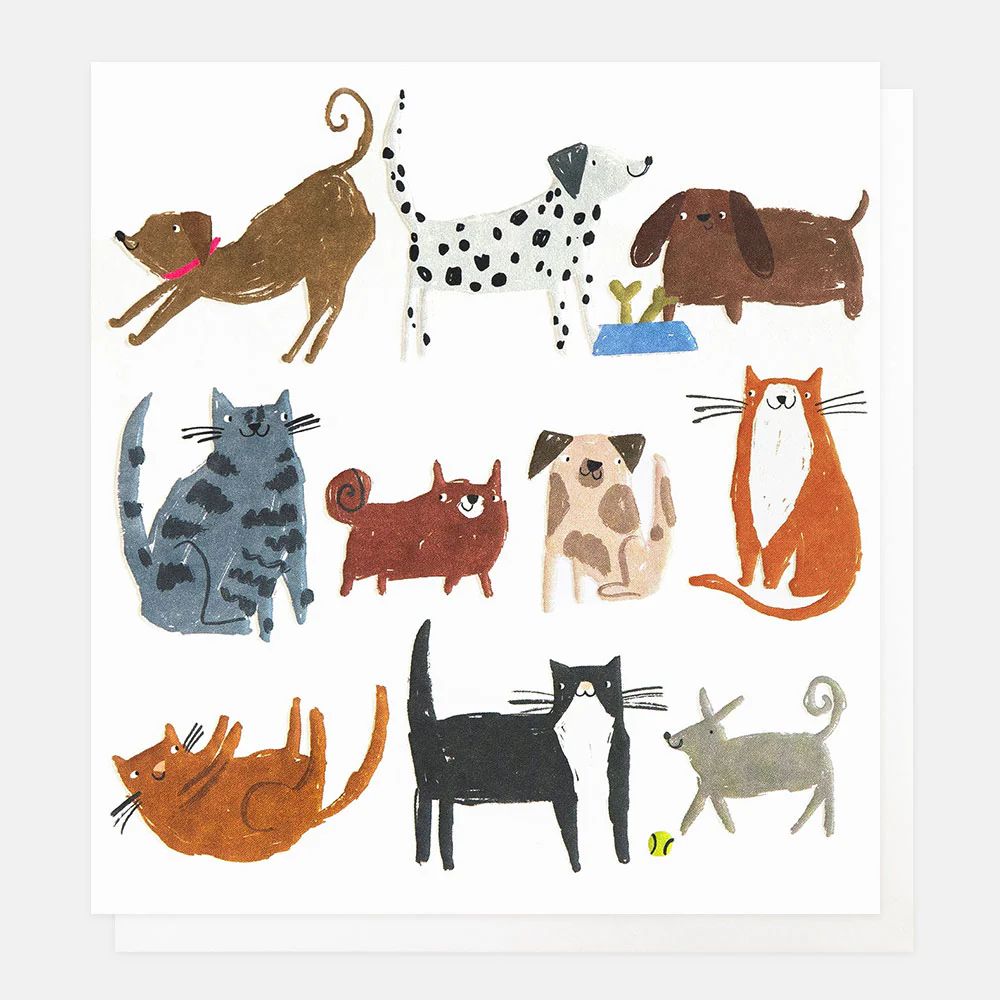 Cats & Dogs Everyday Card