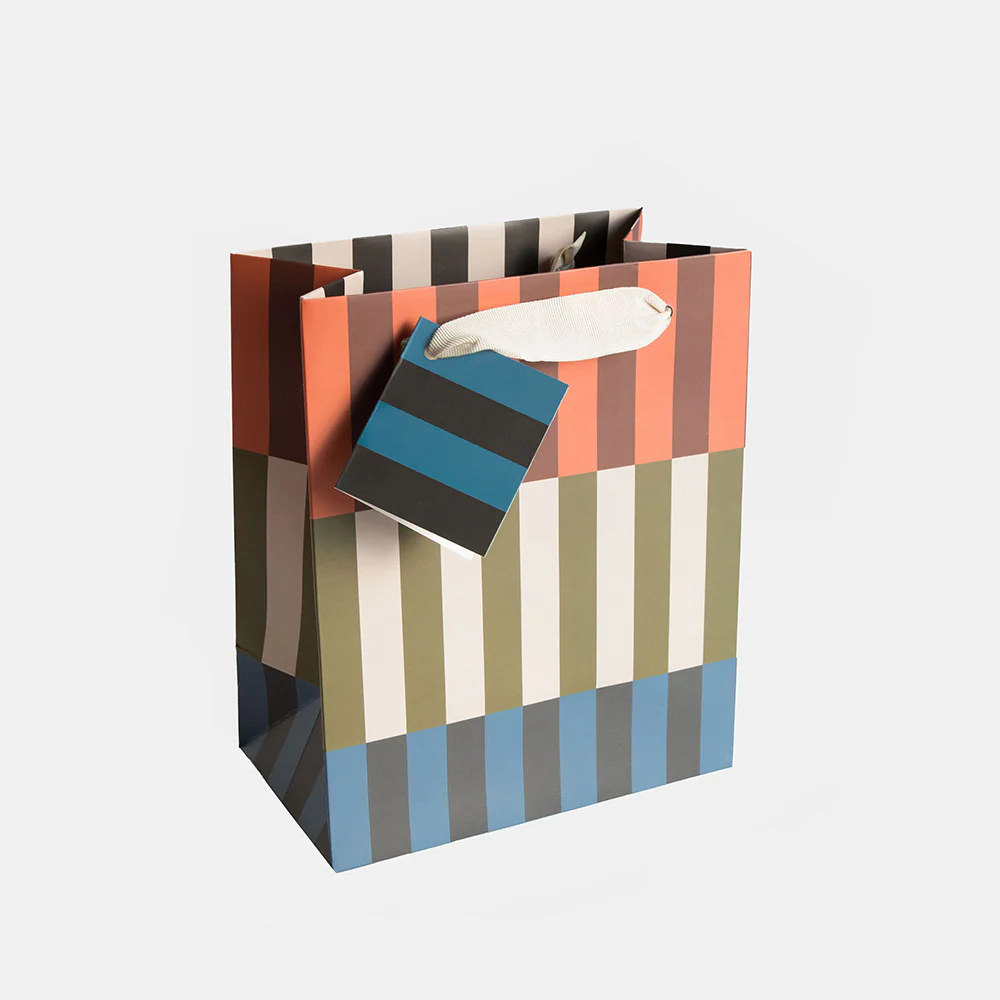 Colourful Geo Stripe Medium Gift Bag