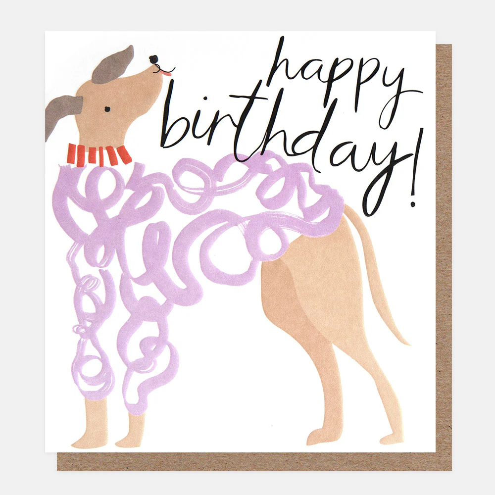 Dog In Lilac Jumper Birthday Card