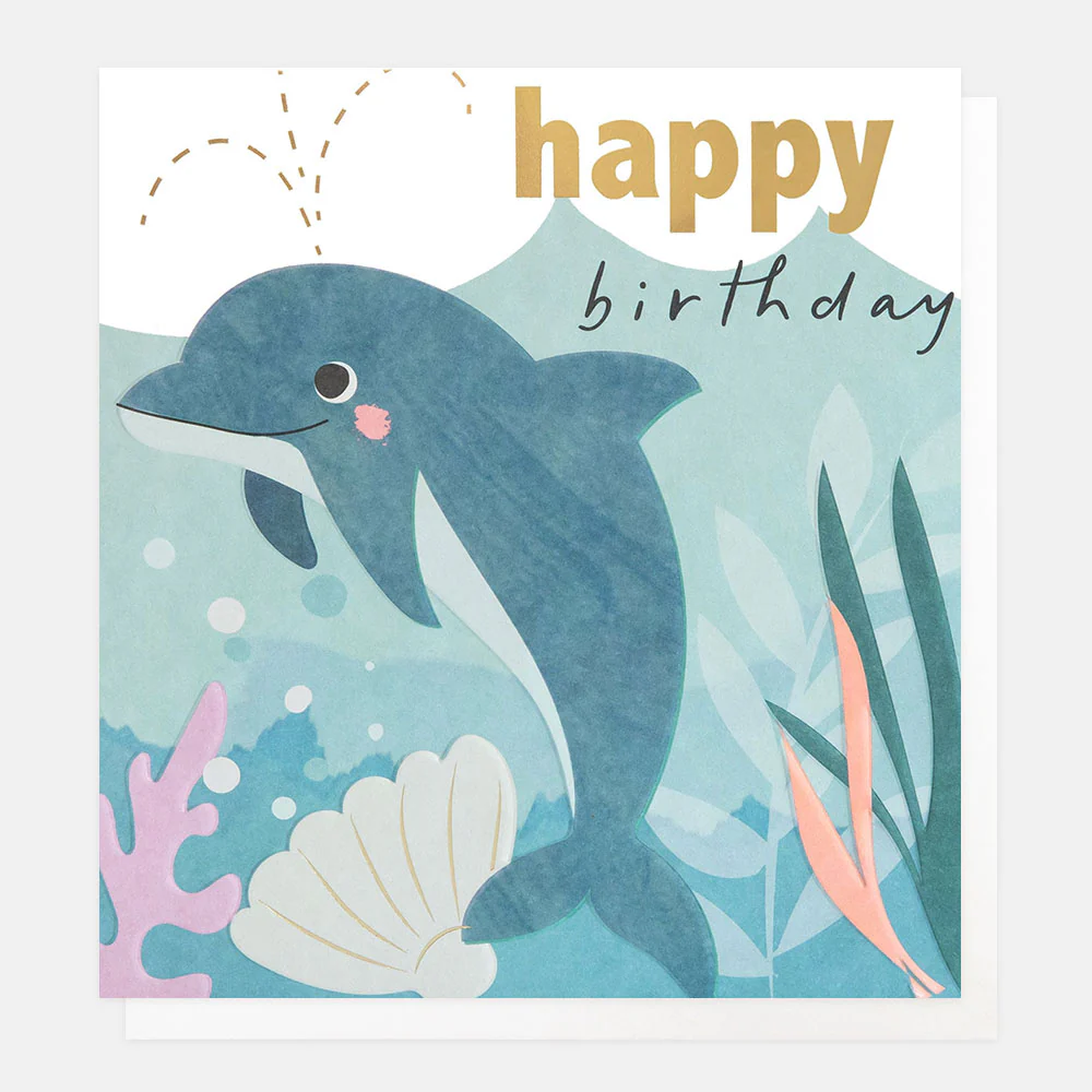 Dolphin With Shell Birthday Card