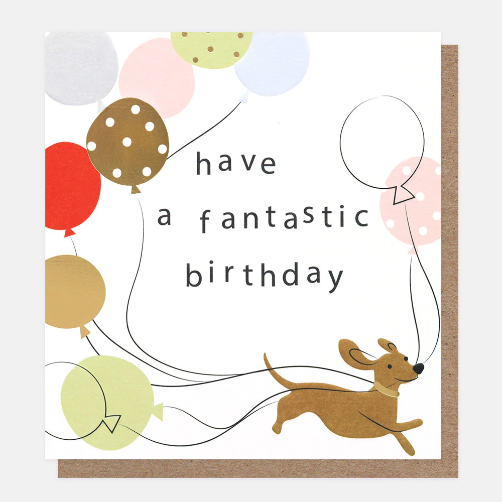 Sausage Dog Have A Fantastic Birthday Card
