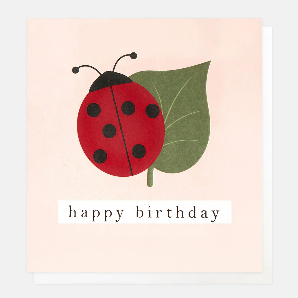 Ladybird & Leaf Happy Birthday Card