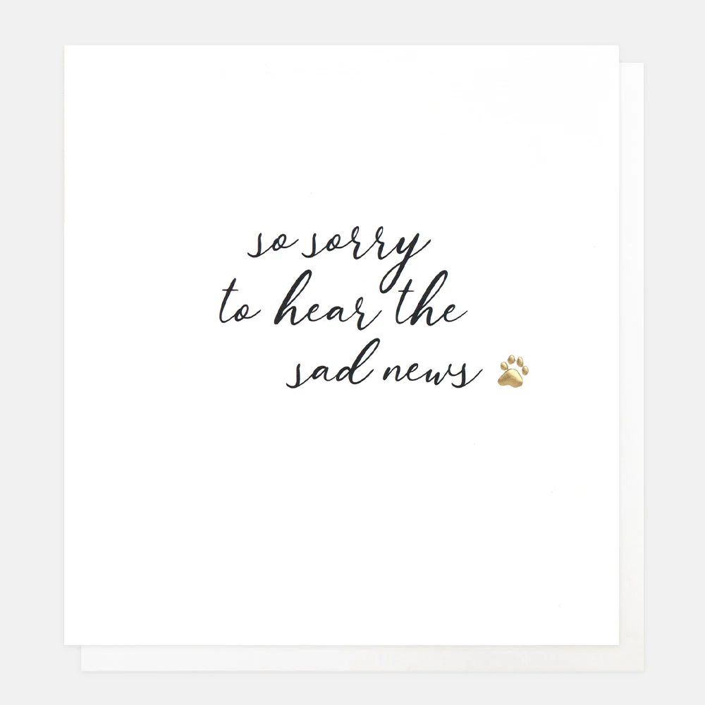 Paw Print Sorry To Hear Sympathy Card