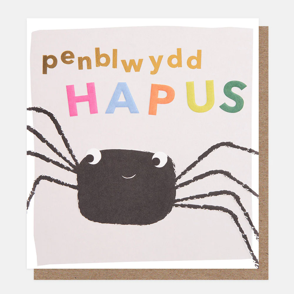 Spider Penblwydd Hapus Welsh Language Birthday Card