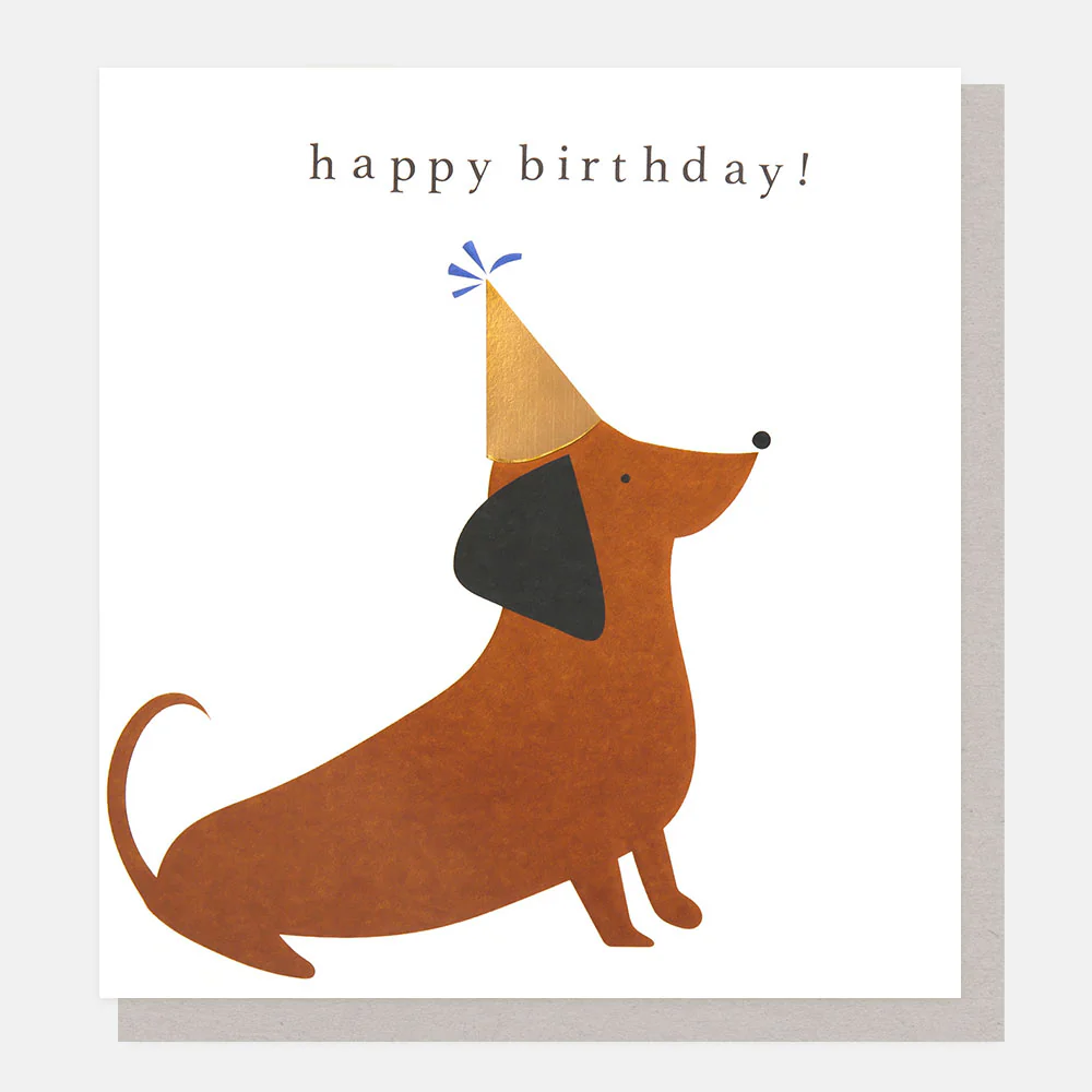Sausage Dog In Party Hat Birthday Card