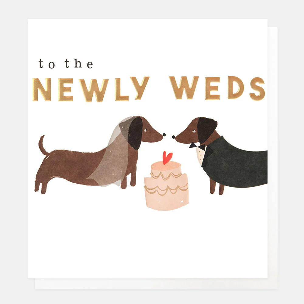 Sausage Dogs & Cake Wedding Card