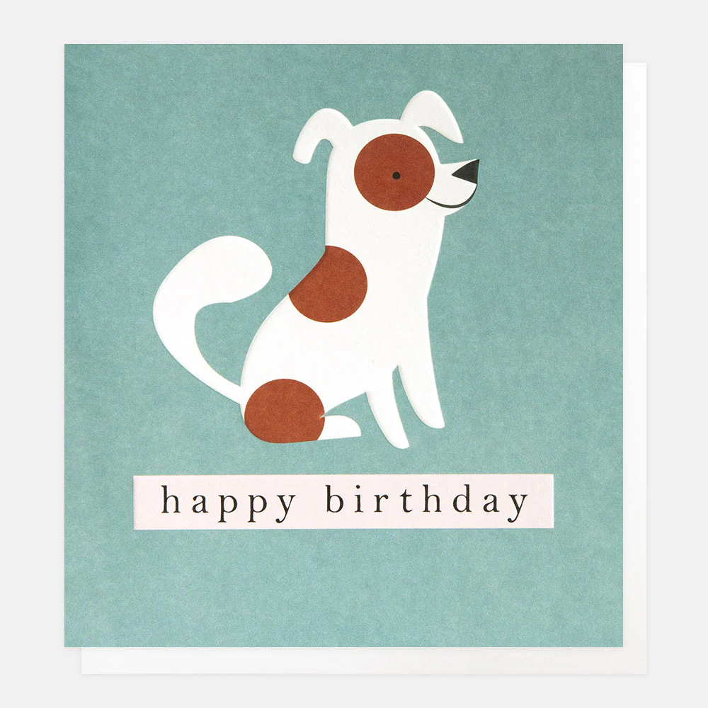 Spotty Dog On Teal Birthday Card