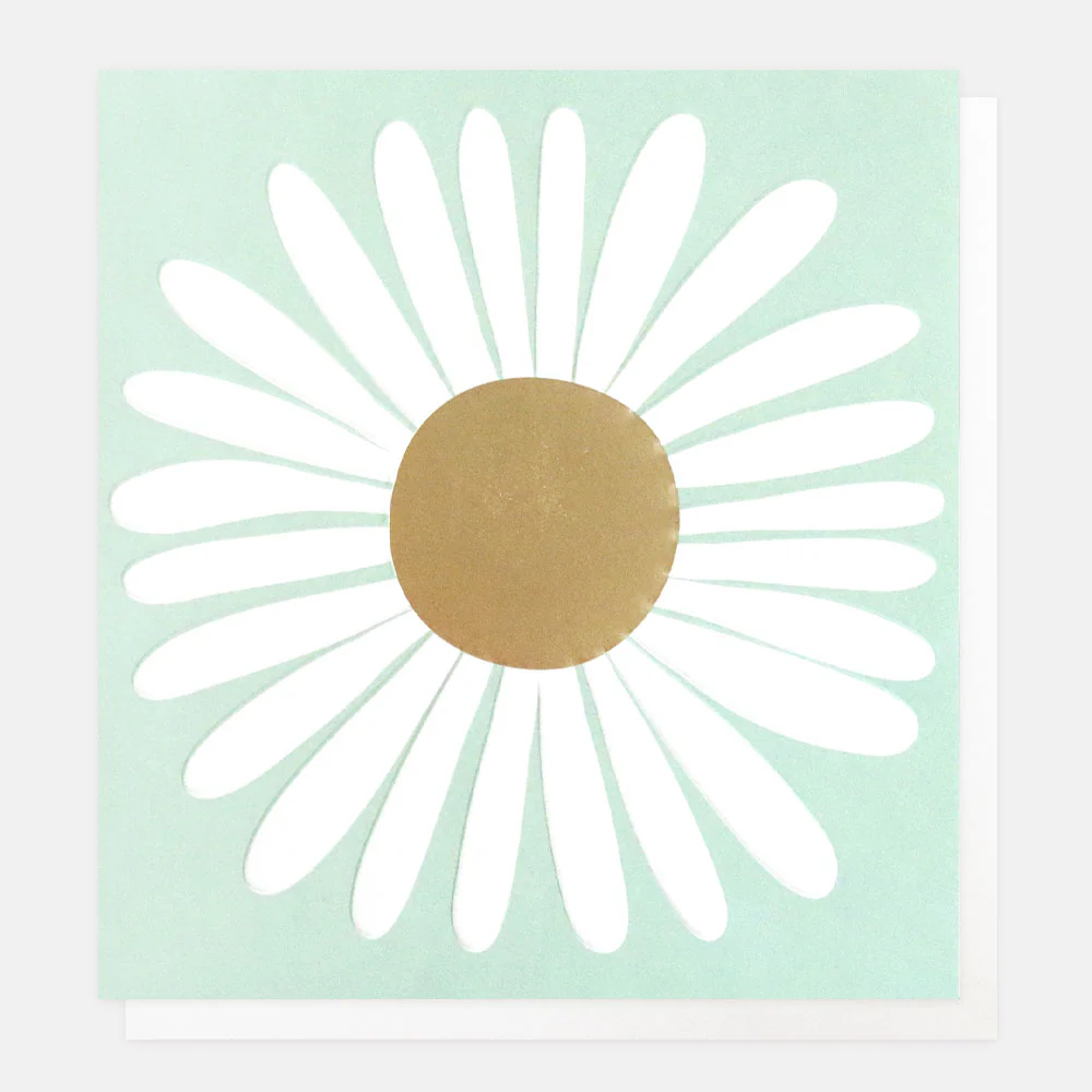 White Daisy Everyday Card
